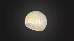 Connect5