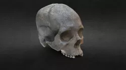 Craneo