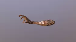 D- Series Arm