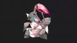 FLAMINGO1
