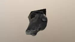 Frog Model