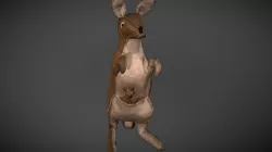 Kangaroo