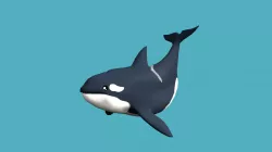 Killer Whale 2019