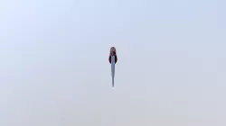 Knife