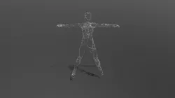 Line of Light Avatar Animation