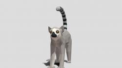 Ring tailed lemur 3d models 【 STLFinder