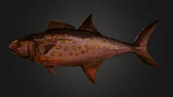 Low Poly Fish