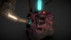 Meat Cube