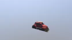 Model Car Bug