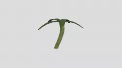 Palm Tree