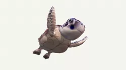 Sea Turtle