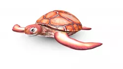 Sea Turtle
