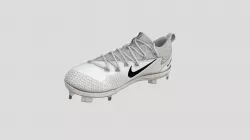 Shoe