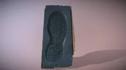 Shoeprint Impression