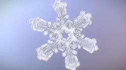 Snowflake 3D scan