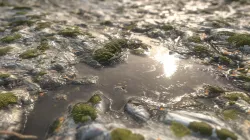 Stone Oxy Moss Water 01