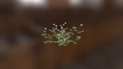 test 2
