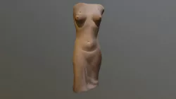 Torso