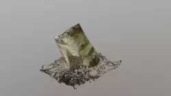 Tree stump small