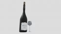 Wine Glass and Bottle