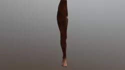 Woman Leg For Tattoo MODEL