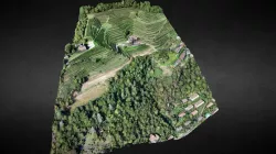 10.2019-Morcote / Vico Morcote, cantiere vigneto