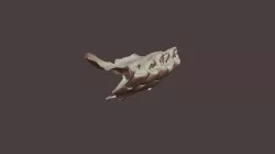 2019-10-08 C8-1 ADA Upper Jaw