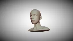 3D head topology reference