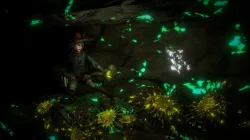 An Elf adventurer meet a stranger fairy in cave