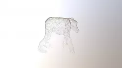 Baboon