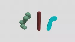 bacteria shapes