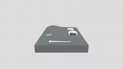 Bones