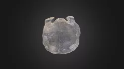 Brachiopod: Hipparionyx proximus (PRI 76921)