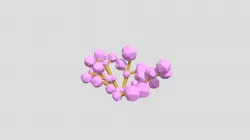 BUSH (Low Poly)