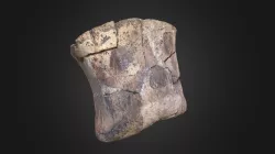 Edmontosaurus Toe Bone