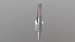 Endless Screw