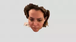 Fofo