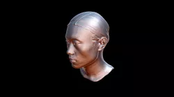 Human