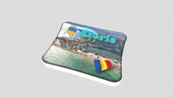 Magnet