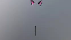 Meifwa Ears And Tail Didnt Make Either Btw