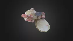 Modern Brachiopod Cluster (PRI 76885)
