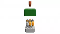 Morpion