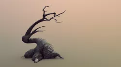 Old tree