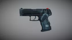 P2000 Protector