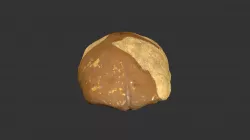 Piltdown Man endocranium (433rp30)