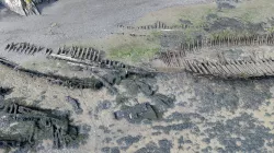 Ship graveyard, River Torridge