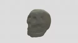 Skull