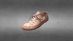 White Shoe Photogrammetry