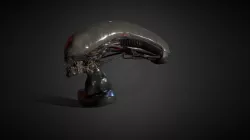 Xeno