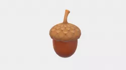 Acorn